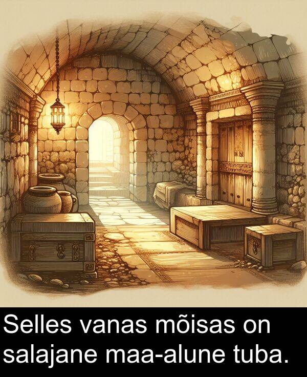 tuba: Selles vanas mõisas on salajane maa-alune tuba.