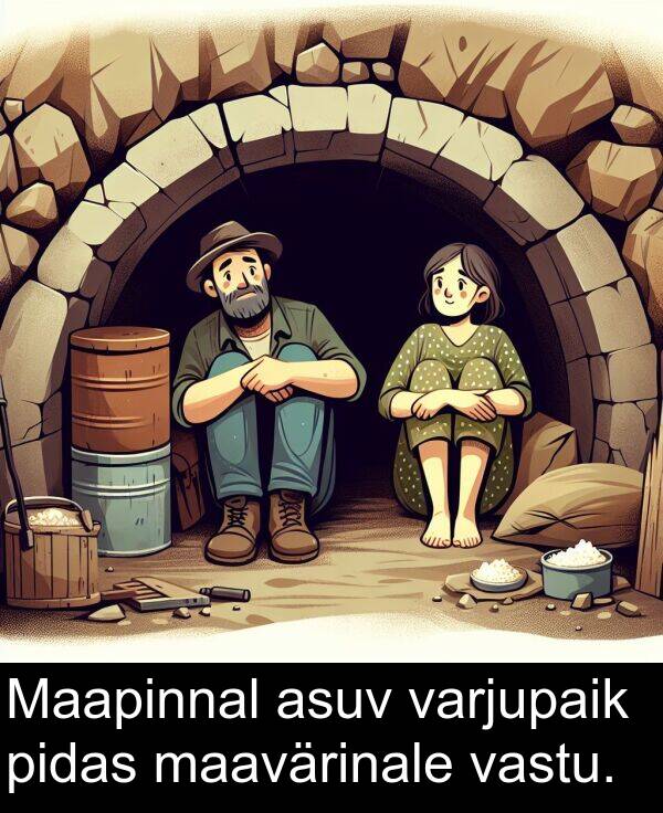 asuv: Maapinnal asuv varjupaik pidas maavärinale vastu.