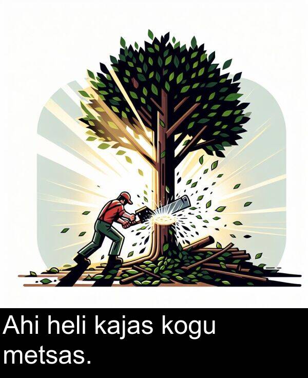 metsas: Ahi heli kajas kogu metsas.