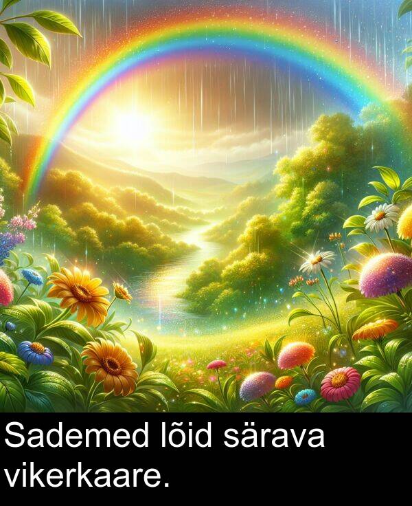 lõid: Sademed lõid särava vikerkaare.