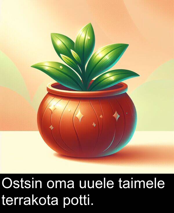 potti: Ostsin oma uuele taimele terrakota potti.