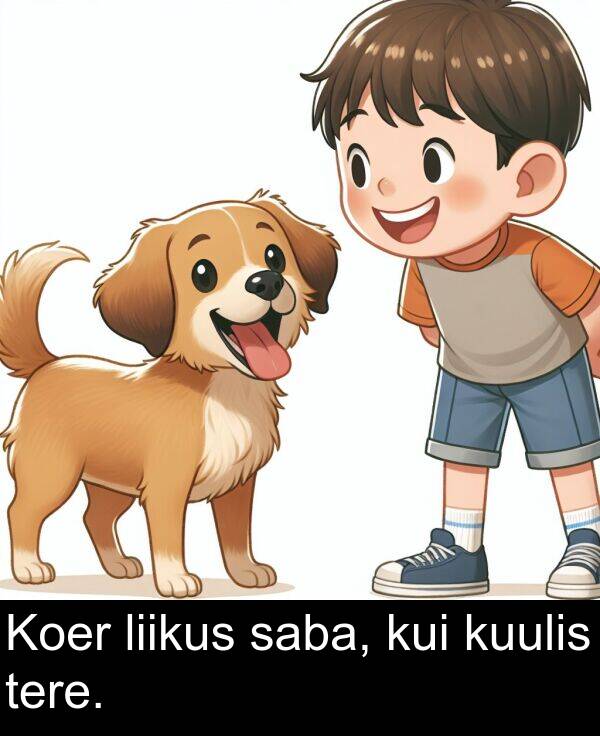 kui: Koer liikus saba, kui kuulis tere.