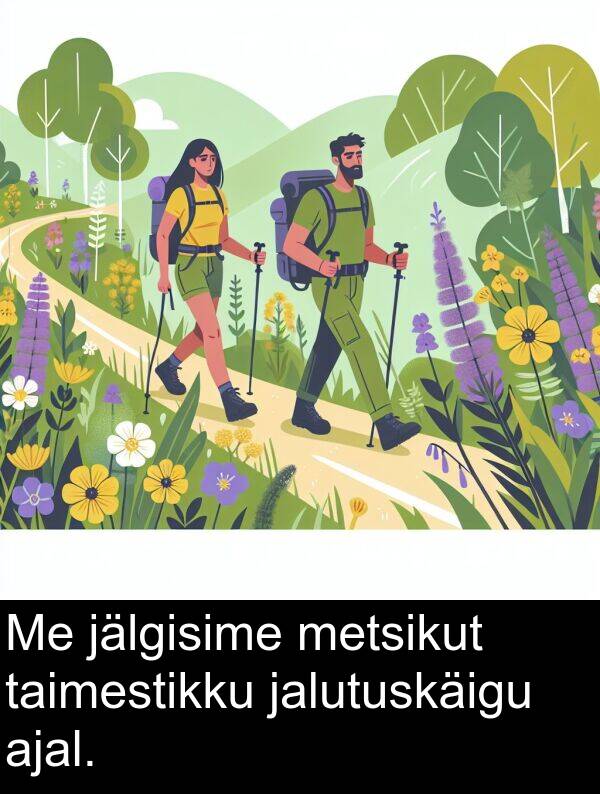 metsikut: Me jälgisime metsikut taimestikku jalutuskäigu ajal.