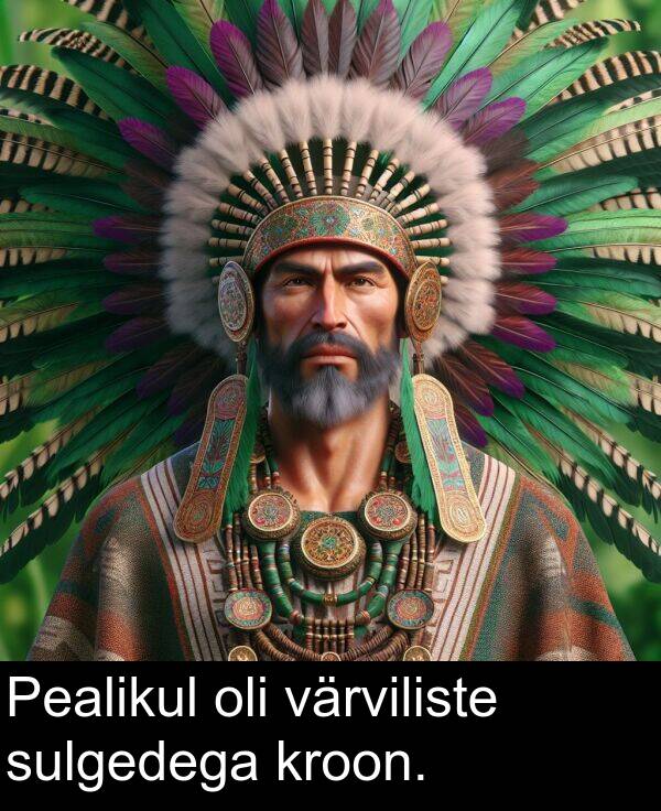 värviliste: Pealikul oli värviliste sulgedega kroon.