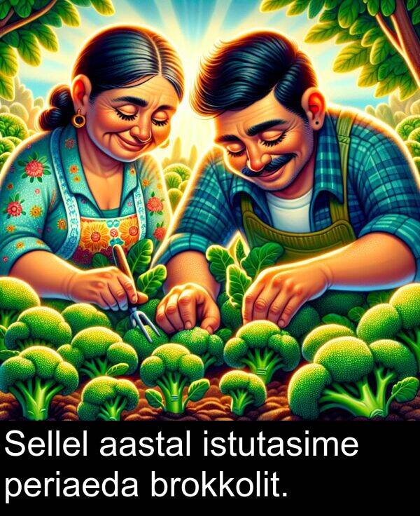 brokkolit: Sellel aastal istutasime periaeda brokkolit.