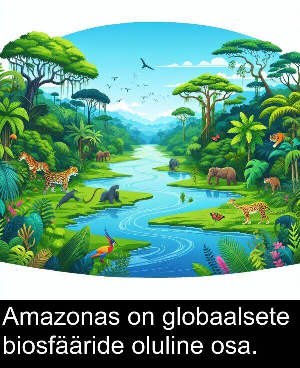 biosfääride: Amazonas on globaalsete biosfääride oluline osa.