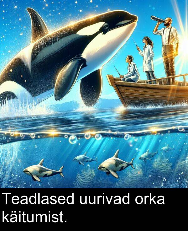 käitumist: Teadlased uurivad orka käitumist.