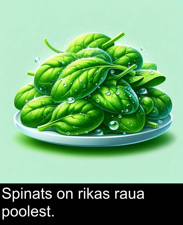 poolest: Spinats on rikas raua poolest.