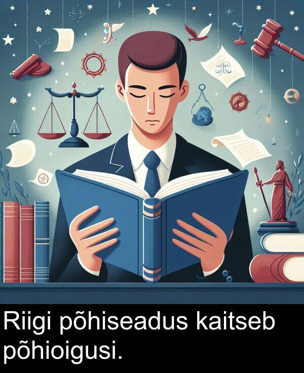 põhioigusi: Riigi põhiseadus kaitseb põhioigusi.