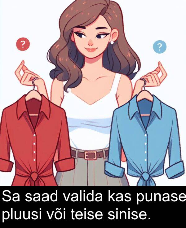 pluusi: Sa saad valida kas punase pluusi või teise sinise.