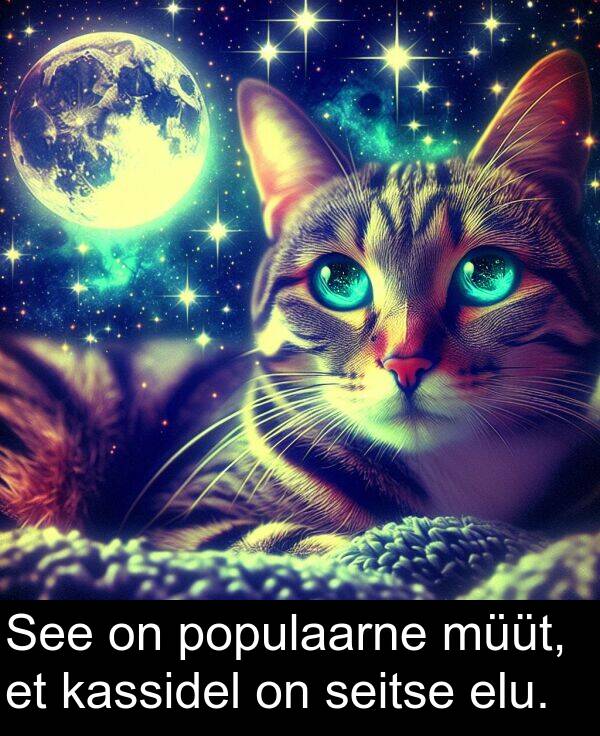 elu: See on populaarne müüt, et kassidel on seitse elu.