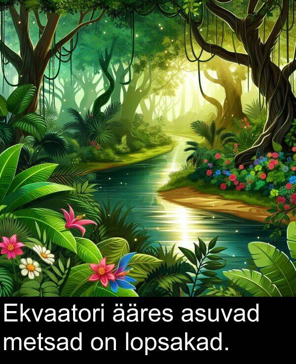 metsad: Ekvaatori ääres asuvad metsad on lopsakad.