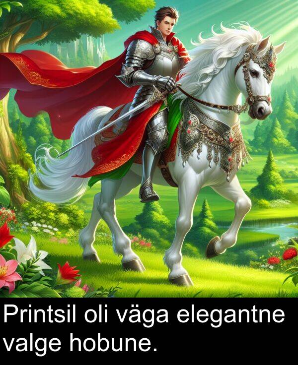 elegantne: Printsil oli väga elegantne valge hobune.