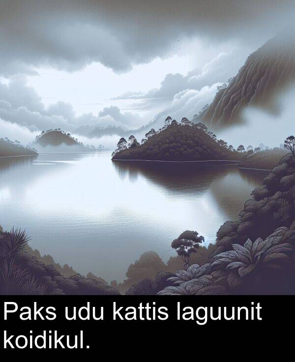 laguunit: Paks udu kattis laguunit koidikul.