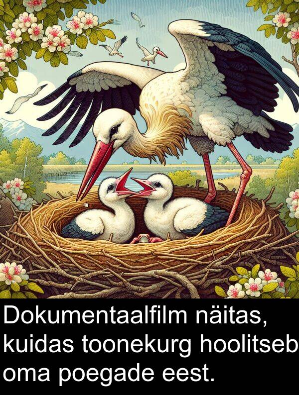kuidas: Dokumentaalfilm näitas, kuidas toonekurg hoolitseb oma poegade eest.