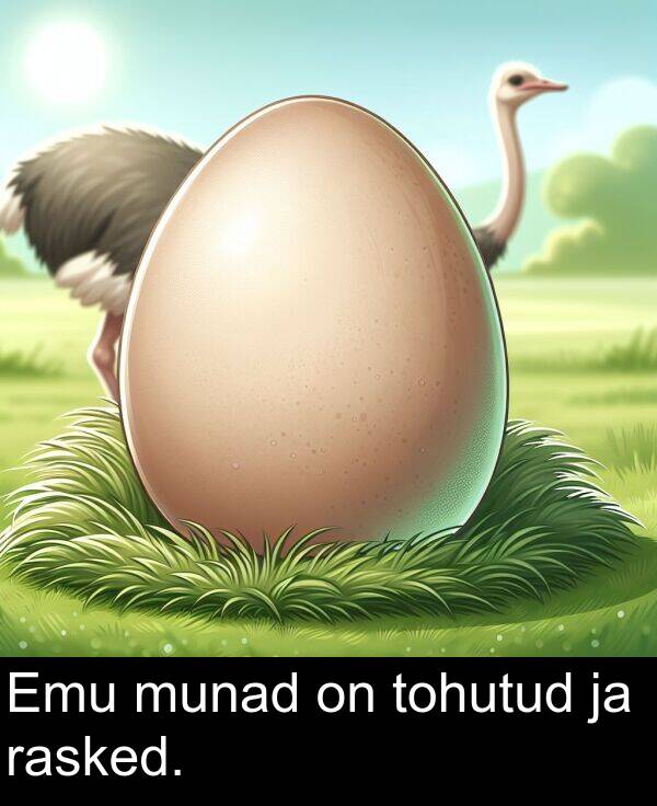 tohutud: Emu munad on tohutud ja rasked.