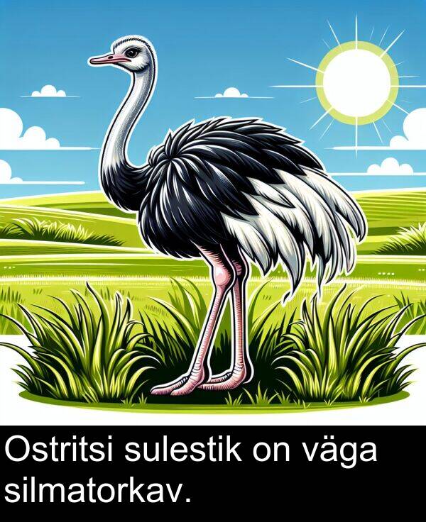 silmatorkav: Ostritsi sulestik on väga silmatorkav.