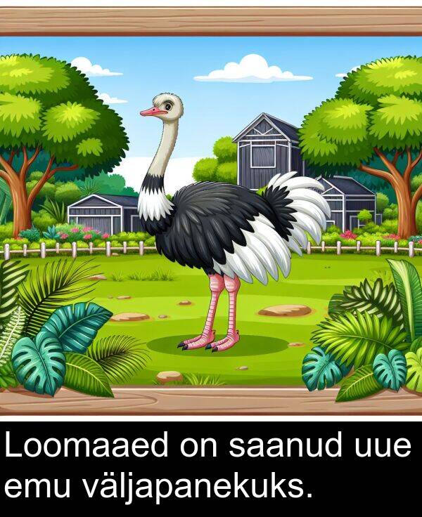 uue: Loomaaed on saanud uue emu väljapanekuks.