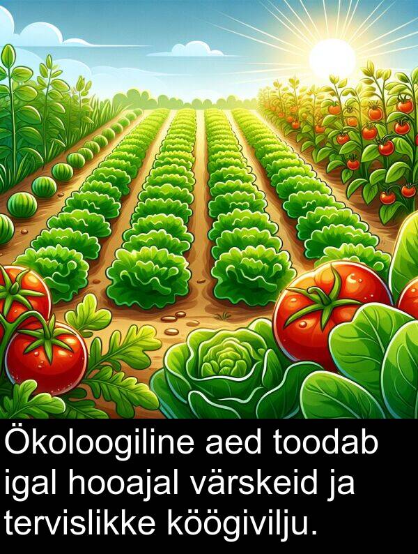 toodab: Ökoloogiline aed toodab igal hooajal värskeid ja tervislikke köögivilju.