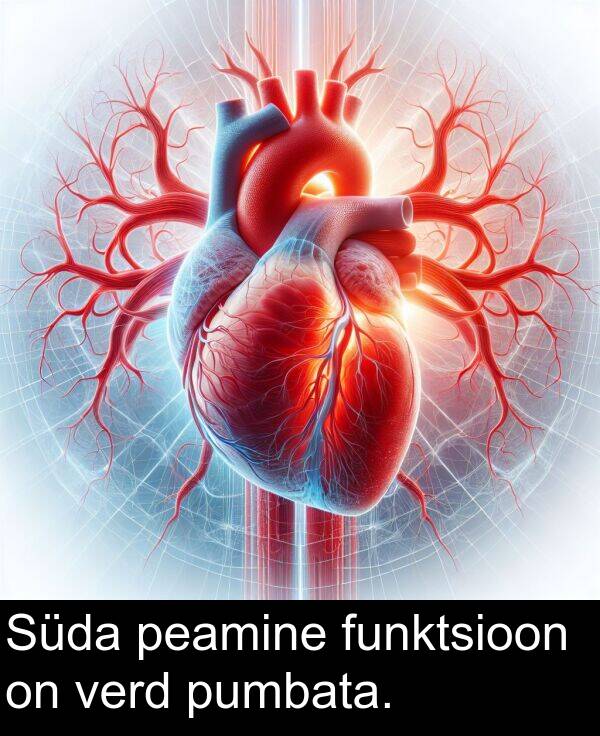 verd: Süda peamine funktsioon on verd pumbata.