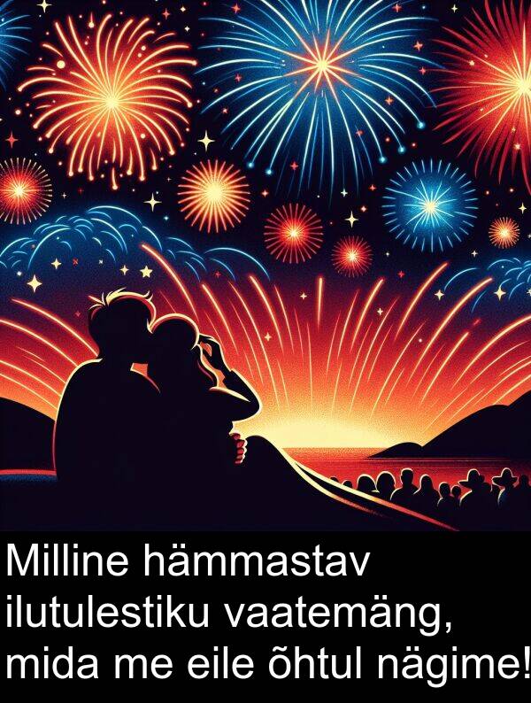 hämmastav: Milline hämmastav ilutulestiku vaatemäng, mida me eile õhtul nägime!