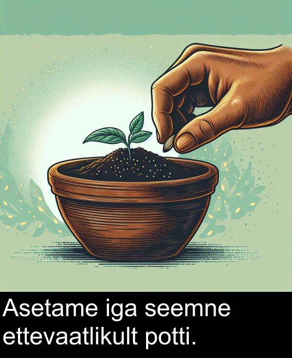 potti: Asetame iga seemne ettevaatlikult potti.