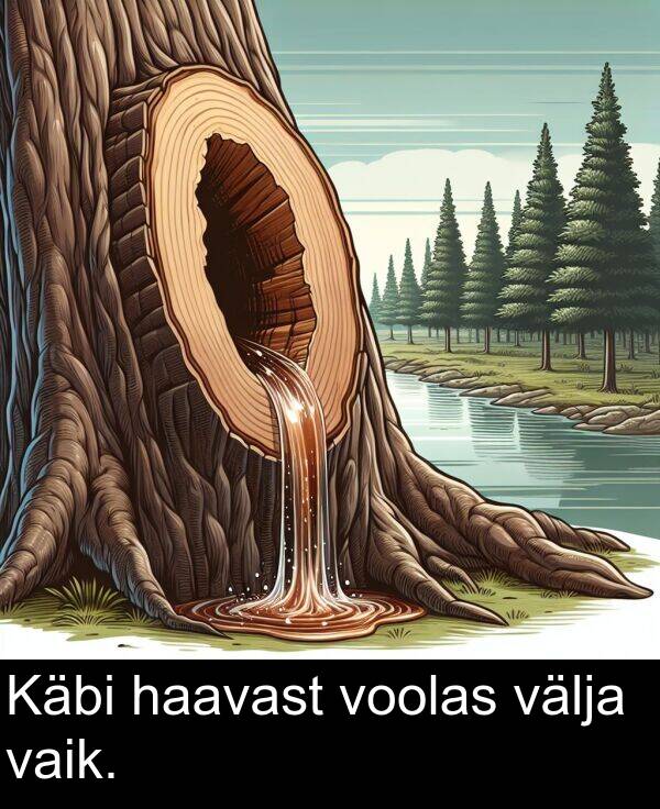 haavast: Käbi haavast voolas välja vaik.