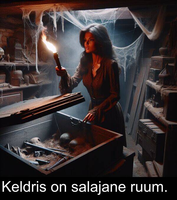 ruum: Keldris on salajane ruum.