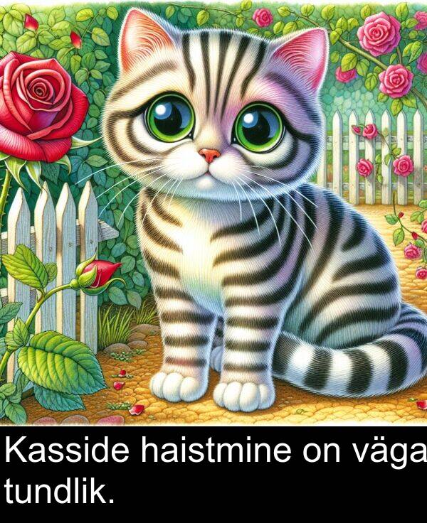väga: Kasside haistmine on väga tundlik.