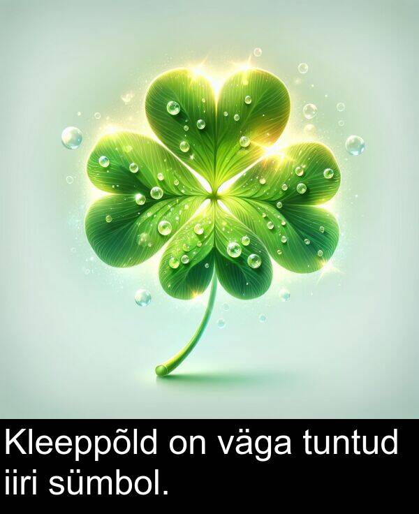 väga: Kleeppõld on väga tuntud iiri sümbol.