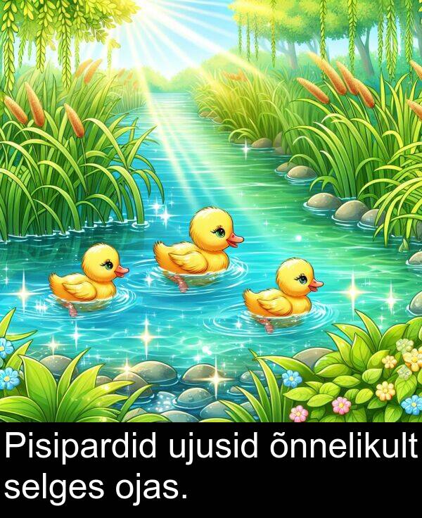 ojas: Pisipardid ujusid õnnelikult selges ojas.