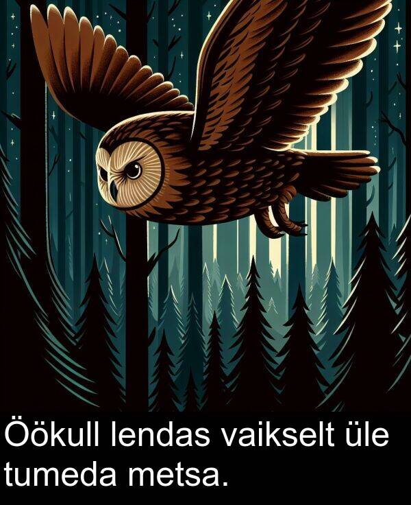 tumeda: Öökull lendas vaikselt üle tumeda metsa.