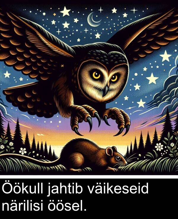 jahtib: Öökull jahtib väikeseid närilisi öösel.