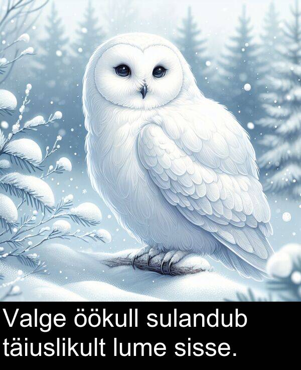 täiuslikult: Valge öökull sulandub täiuslikult lume sisse.