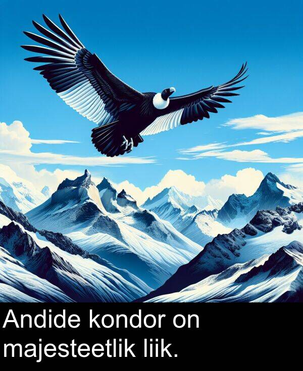 kondor: Andide kondor on majesteetlik liik.