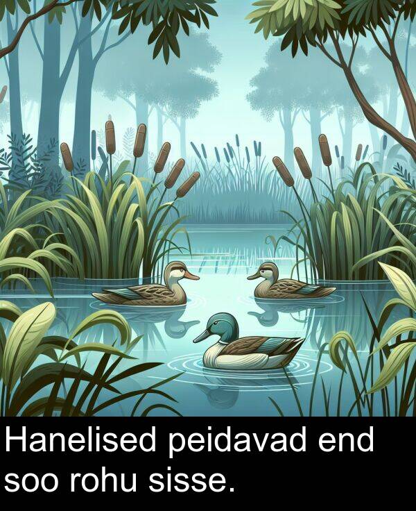 soo: Hanelised peidavad end soo rohu sisse.