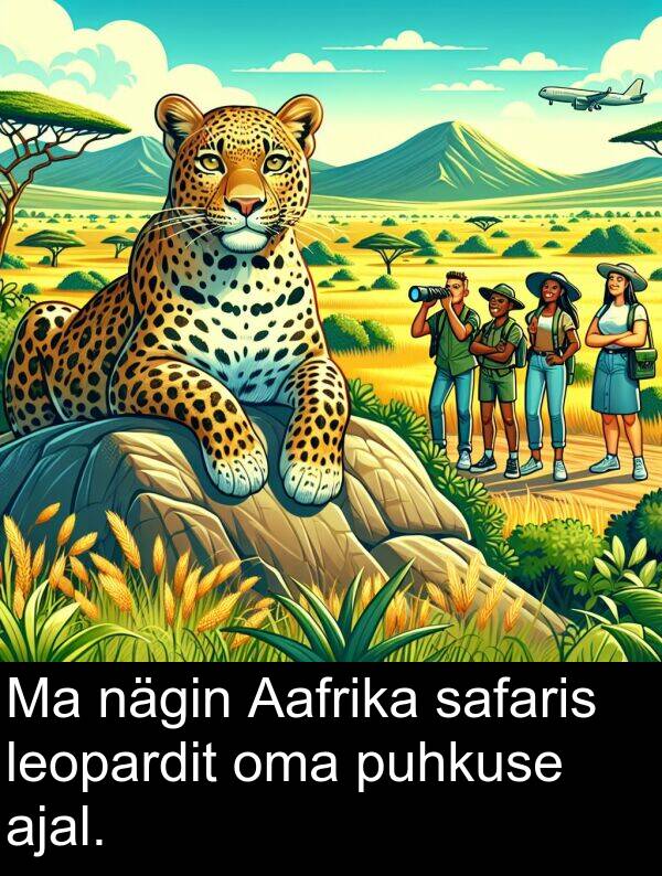 safaris: Ma nägin Aafrika safaris leopardit oma puhkuse ajal.