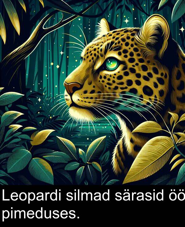 särasid: Leopardi silmad särasid öö pimeduses.