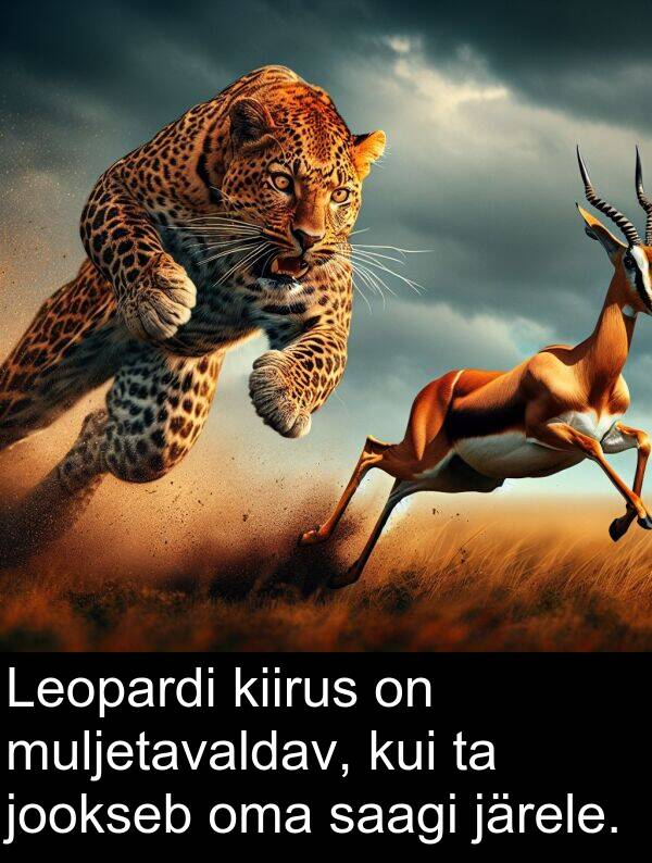 muljetavaldav: Leopardi kiirus on muljetavaldav, kui ta jookseb oma saagi järele.