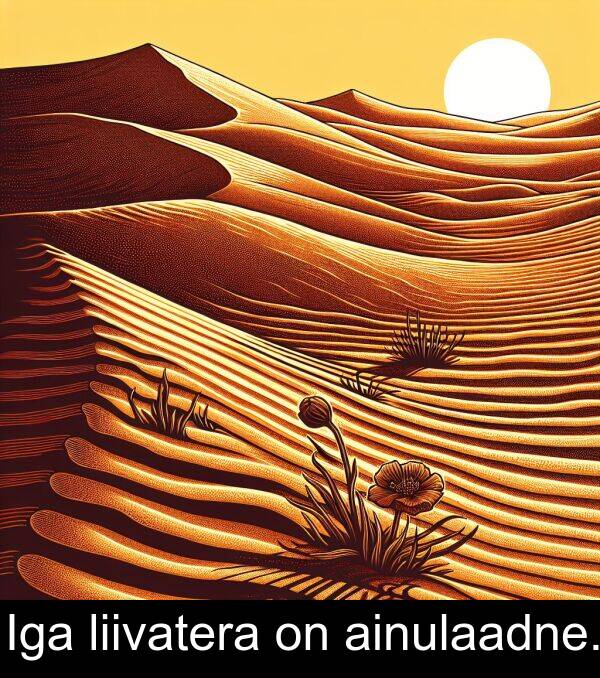 liivatera: Iga liivatera on ainulaadne.