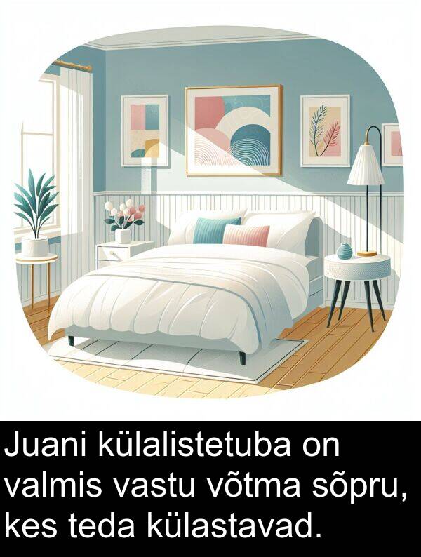 külalistetuba: Juani külalistetuba on valmis vastu võtma sõpru, kes teda külastavad.