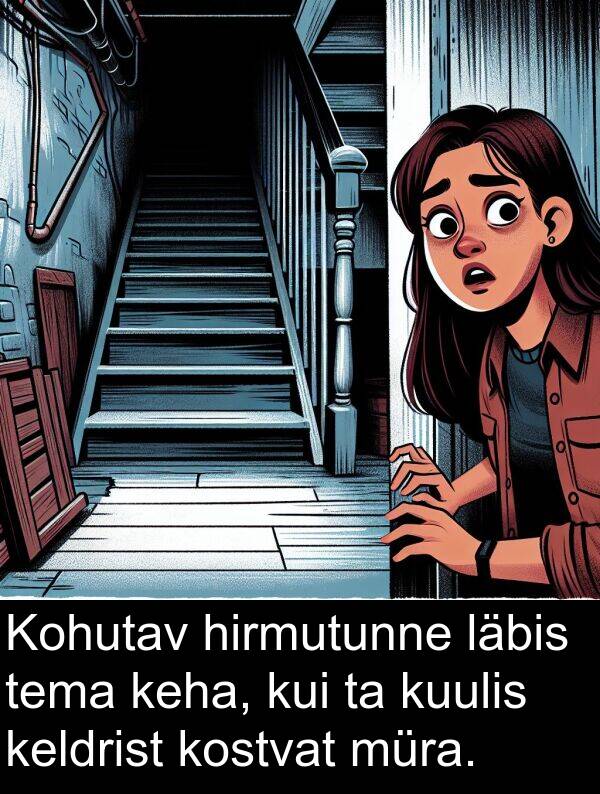 läbis: Kohutav hirmutunne läbis tema keha, kui ta kuulis keldrist kostvat müra.