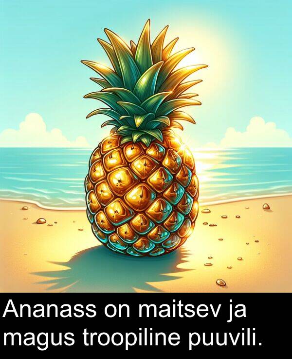 puuvili: Ananass on maitsev ja magus troopiline puuvili.