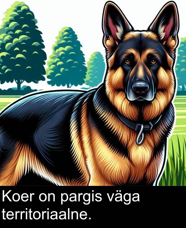 väga: Koer on pargis väga territoriaalne.