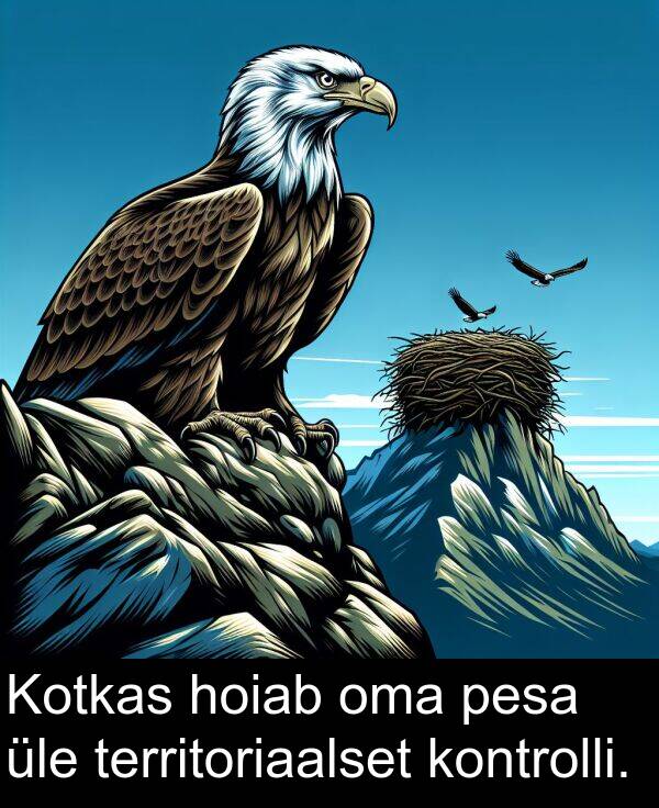 kontrolli: Kotkas hoiab oma pesa üle territoriaalset kontrolli.