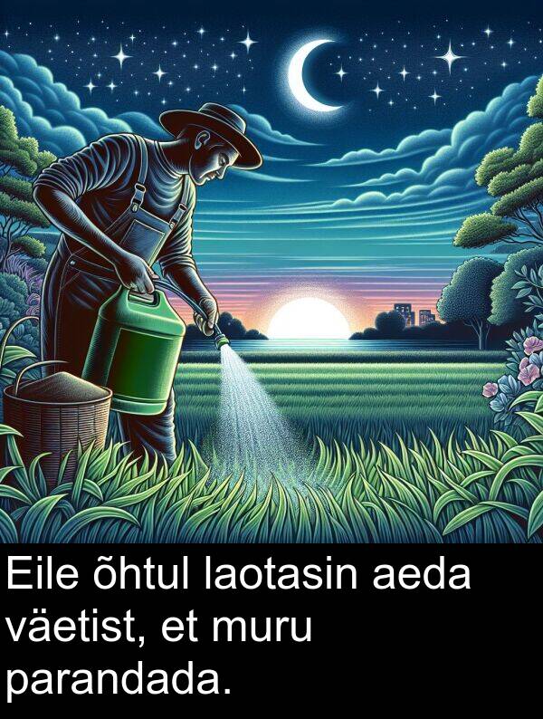 väetist: Eile õhtul laotasin aeda väetist, et muru parandada.