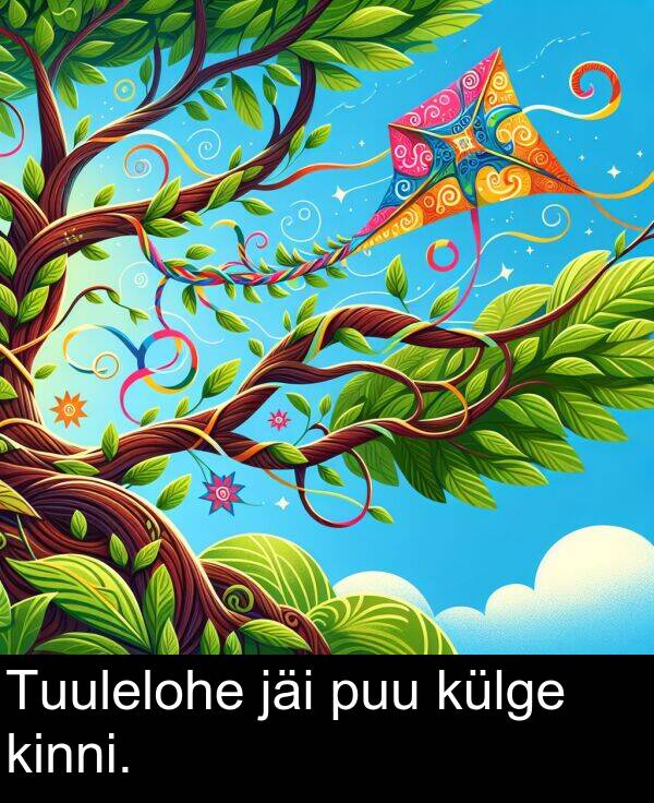 jäi: Tuulelohe jäi puu külge kinni.