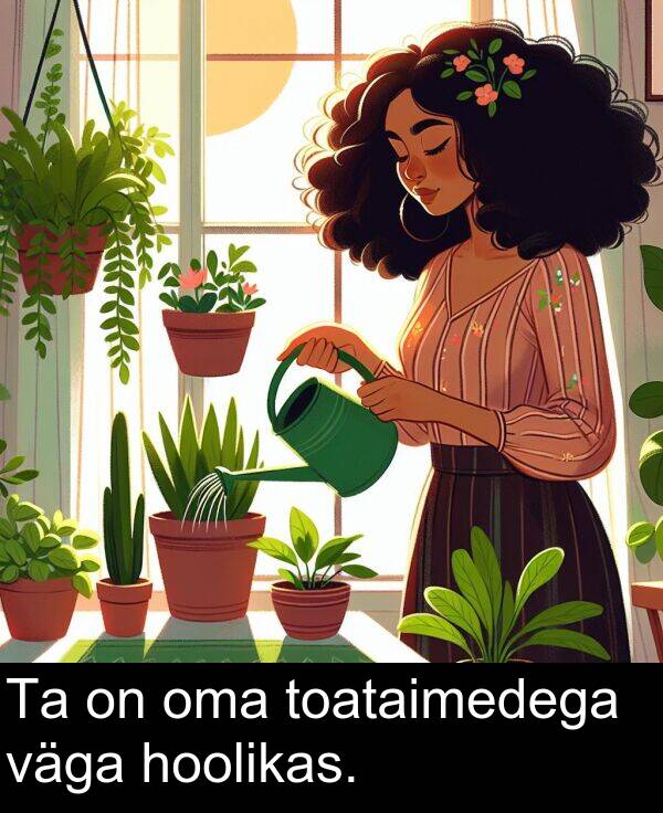 väga: Ta on oma toataimedega väga hoolikas.