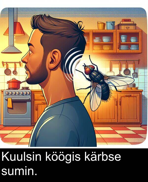 sumin: Kuulsin köögis kärbse sumin.