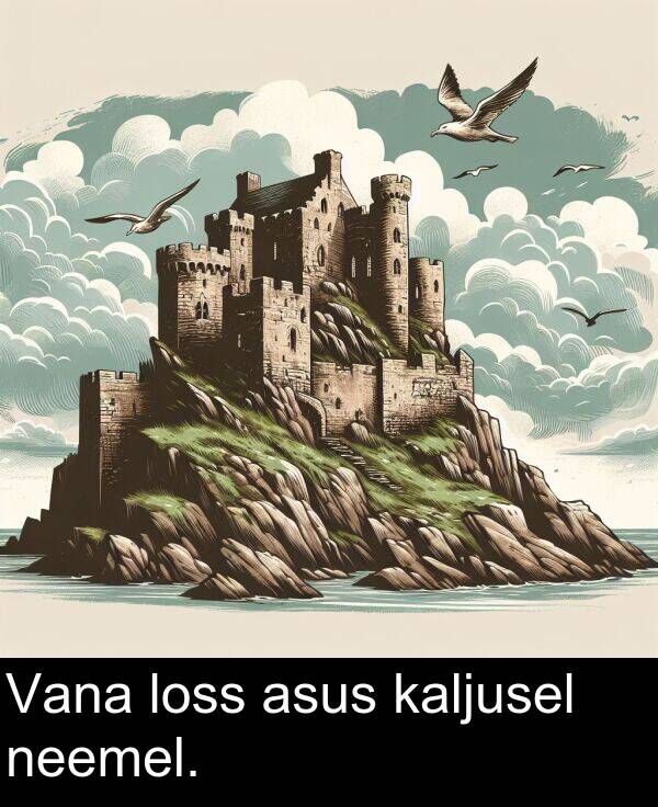 loss: Vana loss asus kaljusel neemel.